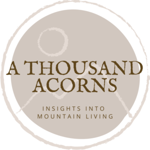 A Thousand Acorns